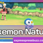 Pokémon Natures